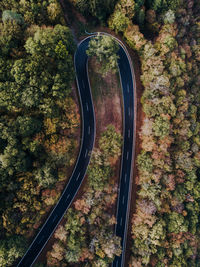 Aerial view of winding road amidst trees in forest