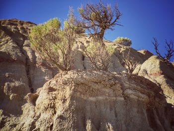 Low angle view of trees on mountain against clear sky