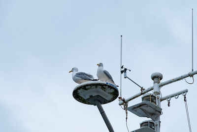 Low angle view of seagulls perching ship radar against sky