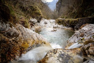 River flowing through rocks in forest