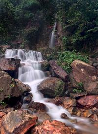 Waterfall in forest