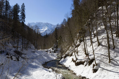 Mountain view at partnachklamm in garmisch-partenkirchen, bavaria, germany, in wintertime