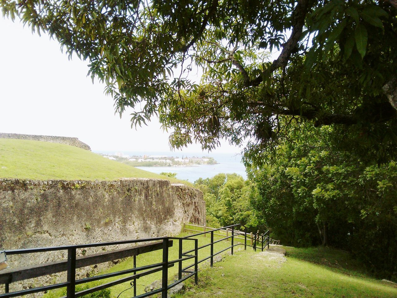 tree, growth, tranquil scene, tranquility, railing, scenics, field, beauty in nature, nature, fence, branch, green color, water, day, outdoors, remote, sky, solitude, footpath, non-urban scene, the way forward, no people, grassy, sea, majestic