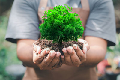 Close-up of hand holding plant