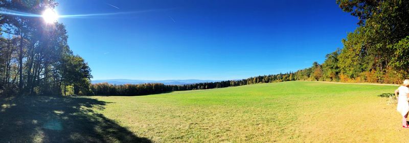 Scenic view of landscape against clear sky