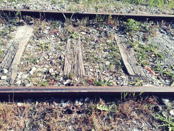 railroad track