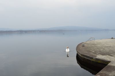 Solitudine e silenzio iii, lago maggiore, italy, 2020.