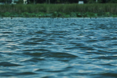 Full frame shot of rippled water