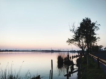 Silhouette tree by lake against sky during sunset