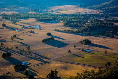 High angle view of agricultural field