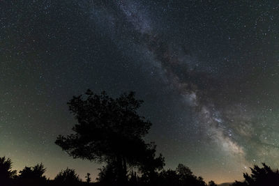 Low angle view of silhouette trees against sky at night