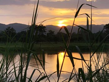 Scenic view of lake against sky during sunset