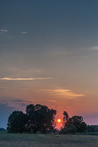 Silhouette trees on field against sky during sunset