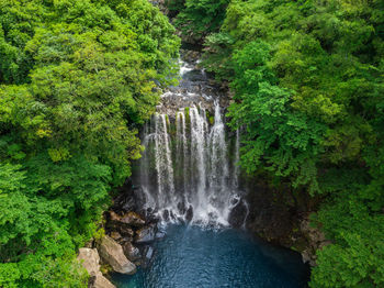 View of waterfall in forest