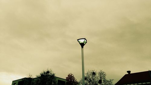 Low angle view of tree against sky