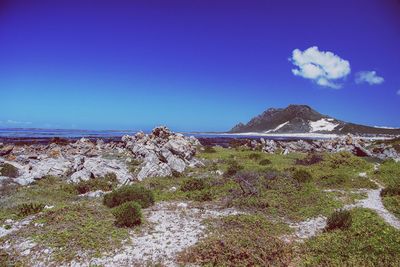 Scenic view of landscape against blue sky