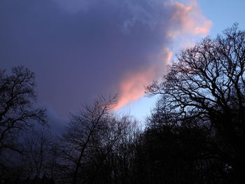 Low angle view of silhouette trees against sky at sunset