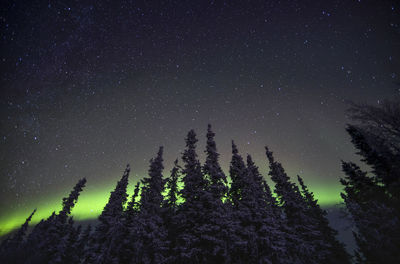 Low angle view of silhouette trees against sky at night