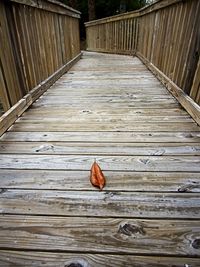 High angle view of leaf on wooden surface