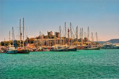 Sailboats moored in harbor