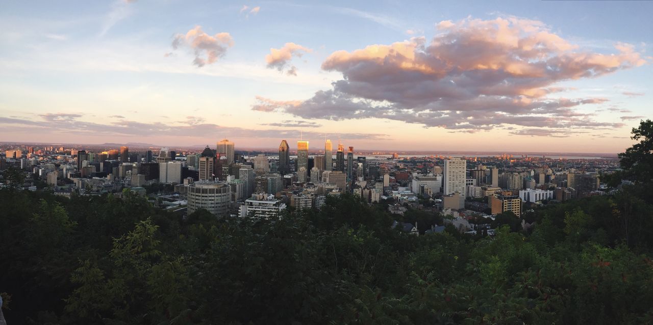 HIGH ANGLE VIEW OF CITYSCAPE