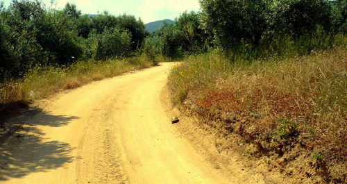 Road passing through landscape