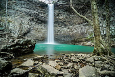 Scenic view of waterfall in forest