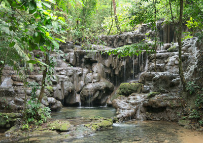 Scenic view of waterfall