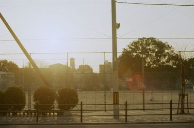 Trees in city