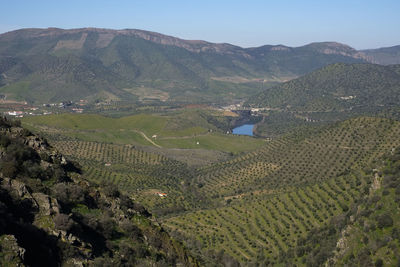 Scenic view of agricultural field by mountains against sky