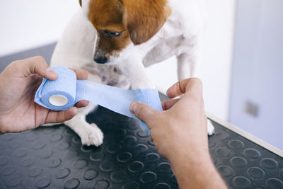 Midsection of person holding dog