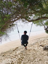 Rear view of man on beach