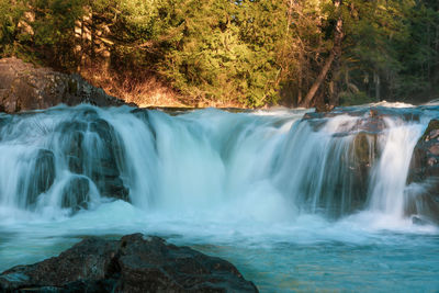 Scenic view of waterfall in forest