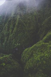 High angle view of green landscape