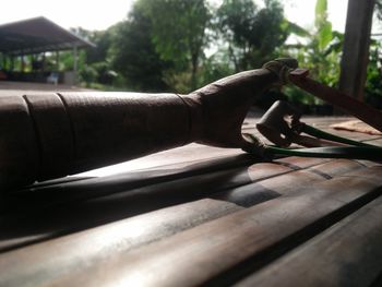 Close-up of wood against trees