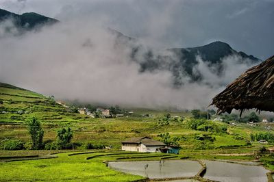 Vietnam sapa