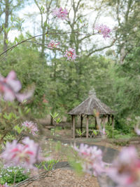 Close-up of pink flowering plants and trees on field