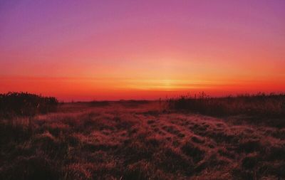 Scenic view of field against sky at sunset