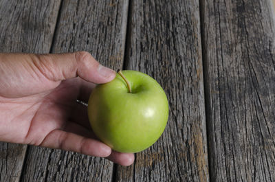 Close-up of hand holding apple