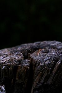 Close-up of log against black background