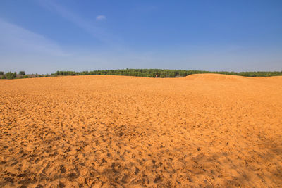 Scenic view of agricultural field against blue sky