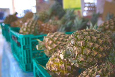 Close-up of vegetables for sale in market