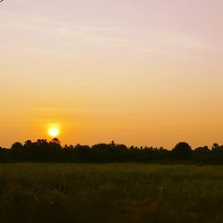 Scenic view of landscape at sunset