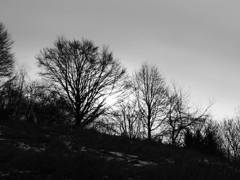 Silhouette of bare tree against sky