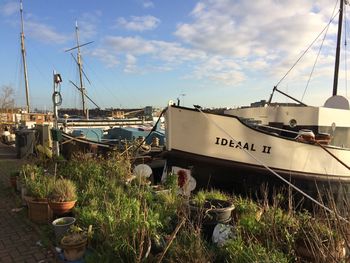 Boats moored at harbor against sky