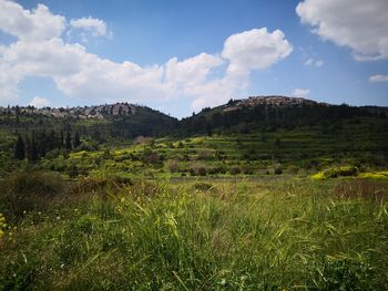 Scenic view of field against sky