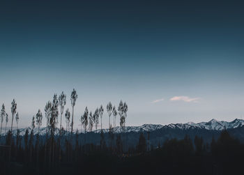 Panoramic view of landscape against sky during winter