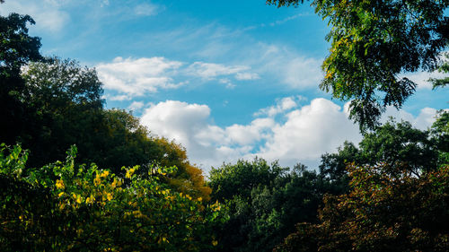 Low angle view of trees against cloudy sky