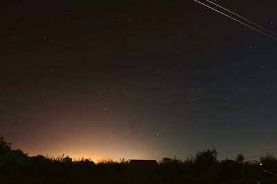 Low angle view of trees against sky at night