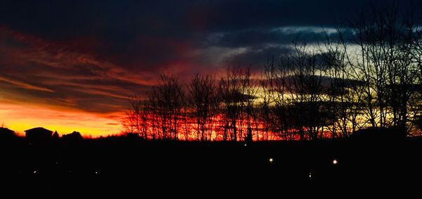 Silhouette trees against sky during sunset